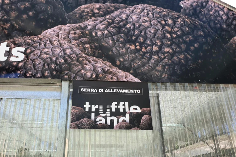 Truffleland can change the world of agriculture profitably and ethically